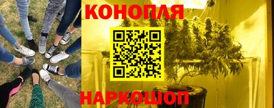 мяу мяу мука Новозыбков