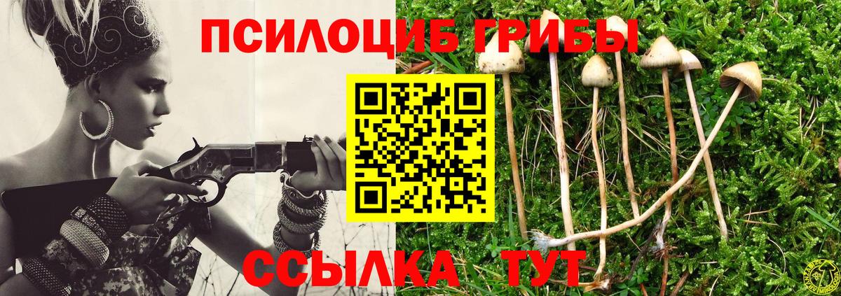 Галлюциногенные грибы Psilocybe Урай