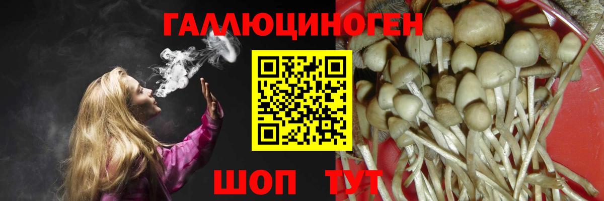 Урай  Псилоцибиновые грибы Cubensis  Вход с VPN 
